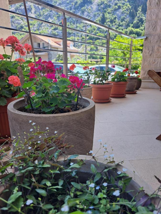 Apartment Benvenuti Kotor Luaran gambar