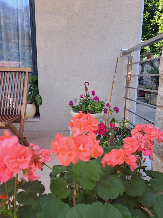 Apartment Benvenuti Kotor Luaran gambar